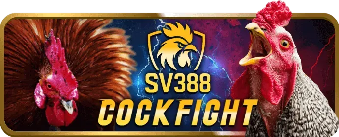 Cá cược thể thao trên OKVIP1